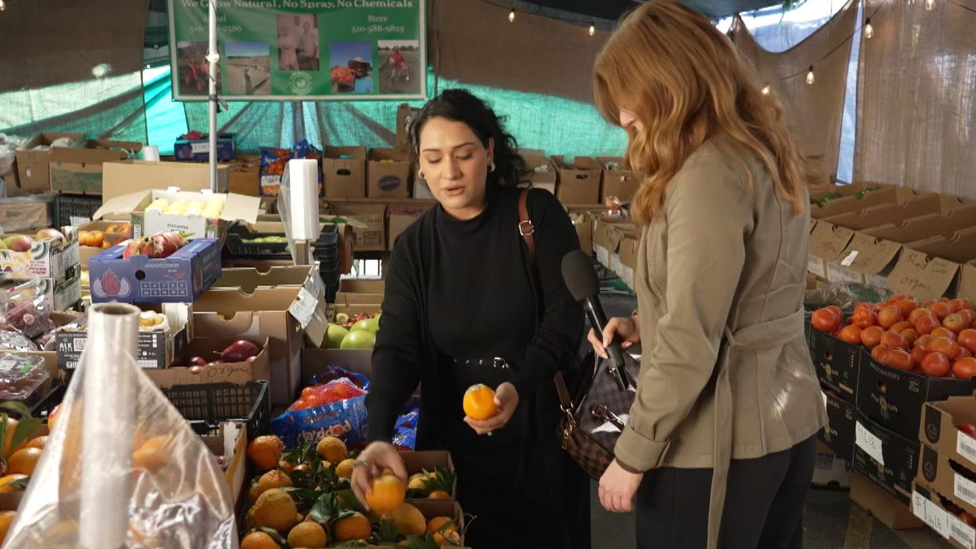 In ‘Little Kabul’, Afghans feel they have to prove their US loyalty all over again